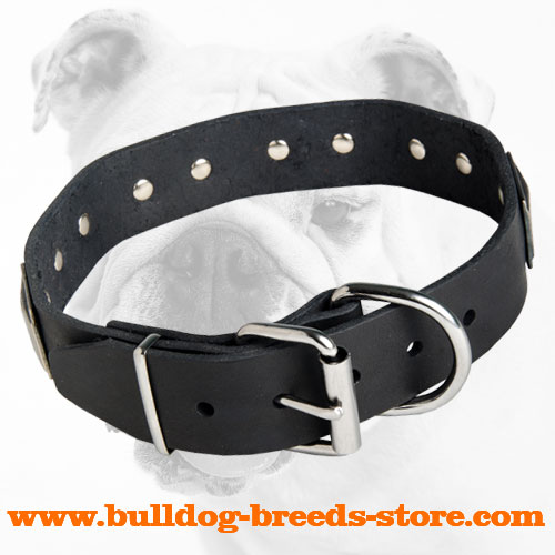 Stylish Leather Bulldog Collar with Strong Nickel Buckle