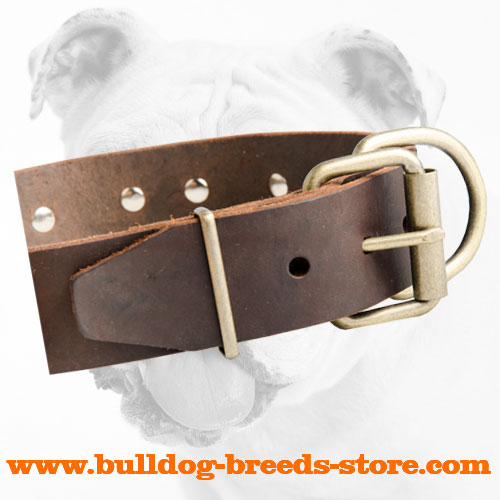 Brass Buckle of Strong Adjustable Leather Bulldog Collar