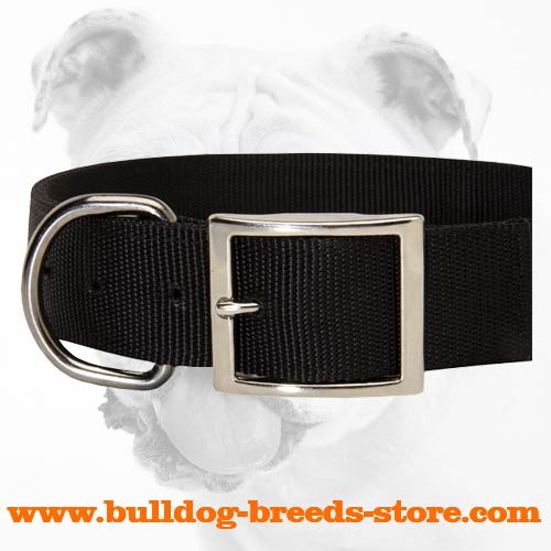 Nickel Plated Buckle of All Weather Walking Nylon Bulldog Collar