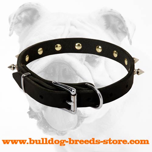 Walking Spiked Leather Bulldog Collar with Reliable Buckle
