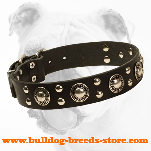 Elegant Leather Bulldog Collar