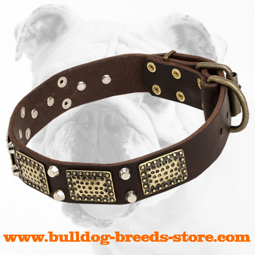 Elegant Leather Bulldog Collar with Trendy Decorations