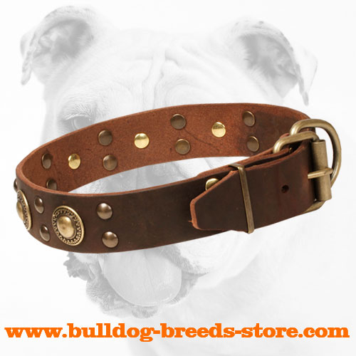 Durable Stylish Leather Bulldog Collar with Brass Hardware