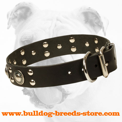 Practical Leather Bulldog Collar with a Strong Hardware
