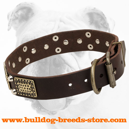Wide Leather Bulldog Collar with Strong Hardware