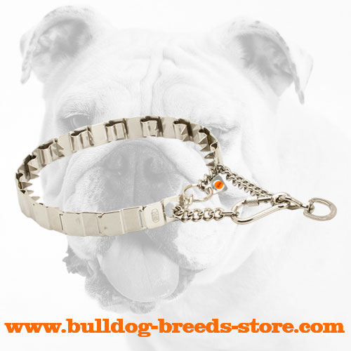 Practical Rust Proof Stainless Steel Dog Neck Tech Collar for Bulldogs for Training Sessions