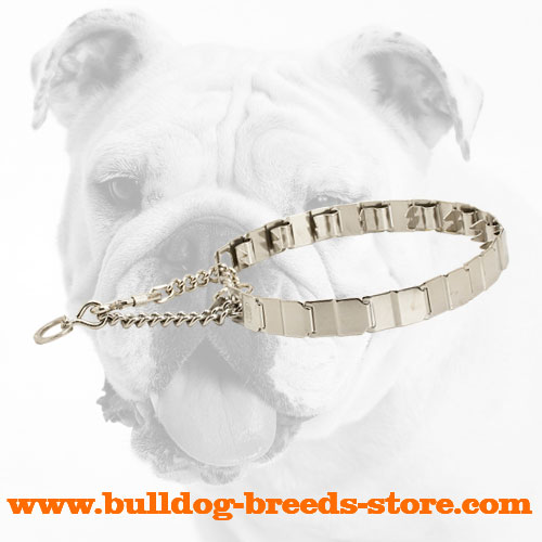 Stainless Steel Dog Pinch Collar for Bulldogs with Metal Links