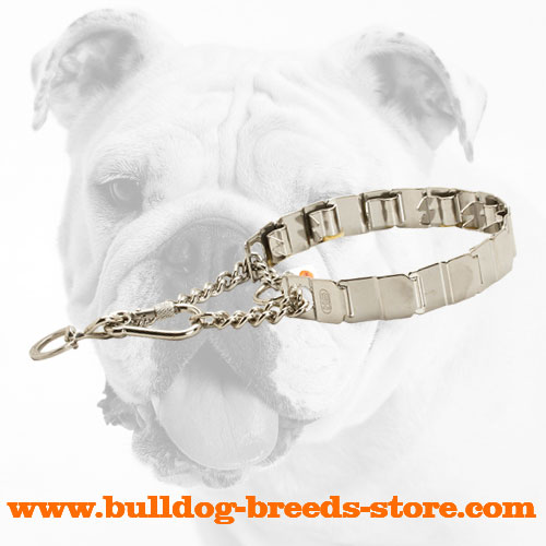 Training Stainless Steel Dog Pinch Collar for Bulldogs