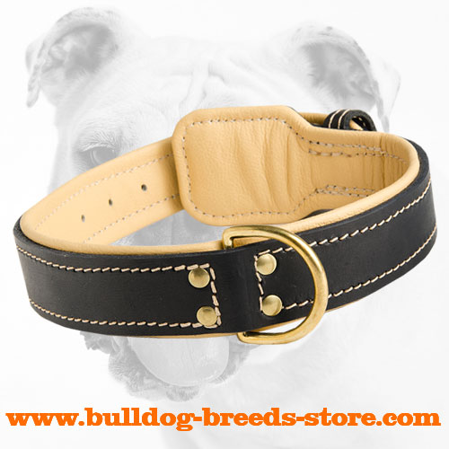 Soft Walking Leather Bulldog Collar with Fur Protection Plate and D-ring