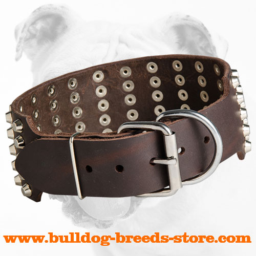 Wide Leather Bulldog Collar with Studs and Strong Buckle