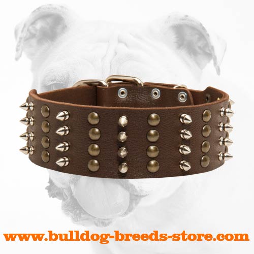 Spiked and Studded Walking Leather Dog Collar for Bulldog