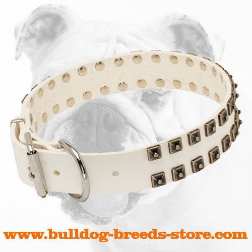 Training Fashion White Leather Bulldog Collar with Strong Buckle