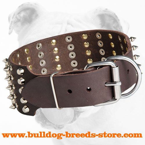 Designer Wide Leather Bulldog Collar with Strong Buckle