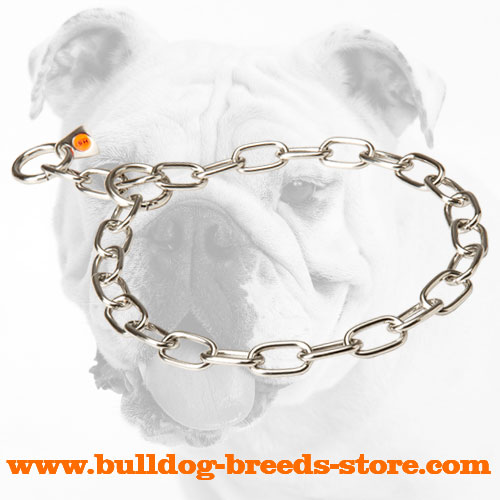 Stainless Steel Bulldog Fur Saver for Daily Activities