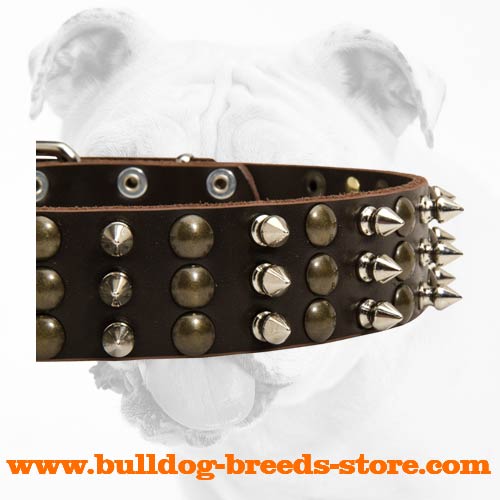 Spikes and Studs on Wide Fashion Leather Bulldog Collar for Handling