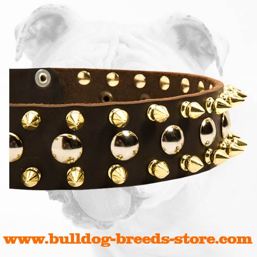 Spikes and Studs on Adjustable Walking Leather Bulldog Collar