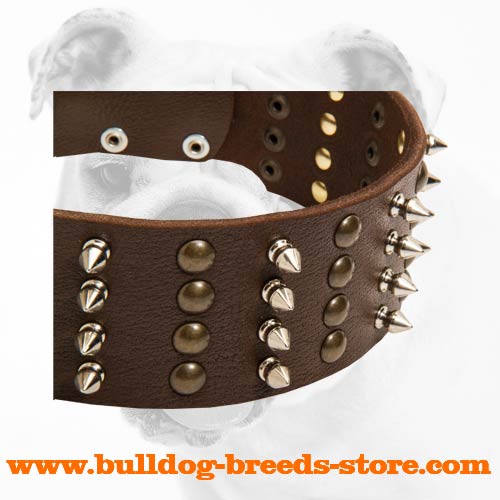 4 Rows of Spikes and Studs on Fashion Training Leather Bulldog Collar