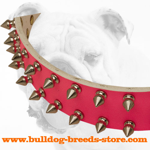 Nickel Spikes on Pink Fashion Walking Leather Bulldog Collar