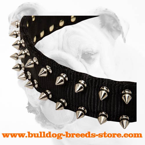 Nickel Spikes on Strong Walking Nylon Dog Collar for Bulldog