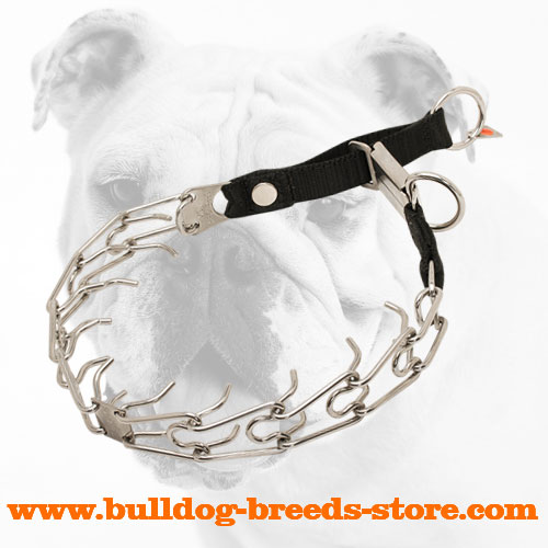 Stainless Steel Bulldog Pinch Collar with Click Lock Buckle