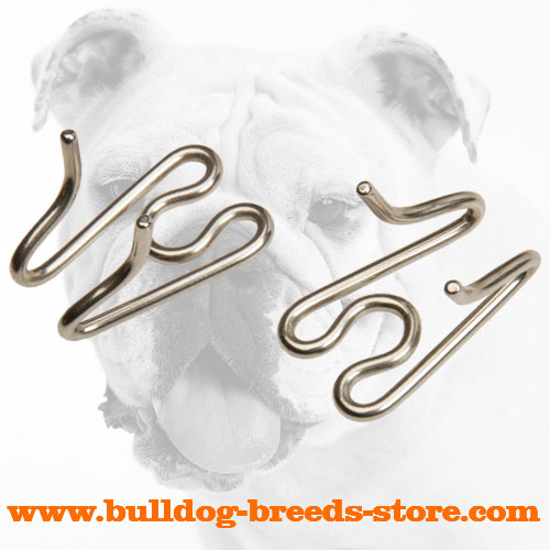 Rust Proof Stainless Steel Links for Bulldog Pinch Collar