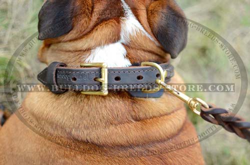 Easy Adjustable Buckle of Braided Leather Bulldog Collar
