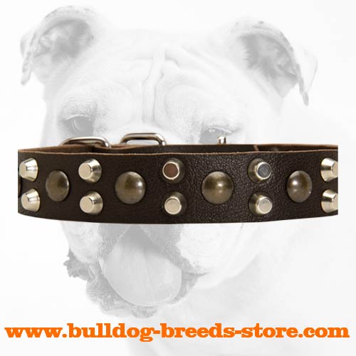 Studs and Pyramids on Fashion Leather Bulldog Collar for Handling