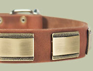 Designer Dog Collar for Bulldog-Leather Custom Collar