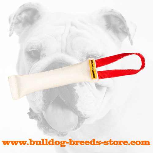 Fire Hose Bulldog Bite Tug for Puppies