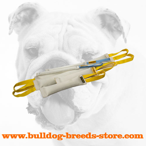 Convenient Fire Hose Bulldog Bite Tugs 