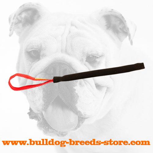 Strong French Linen Bulldog Bite Tug for Training