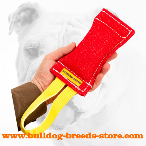 Sturdy French Linen Bulldog Bite Tug for Retrieve Work