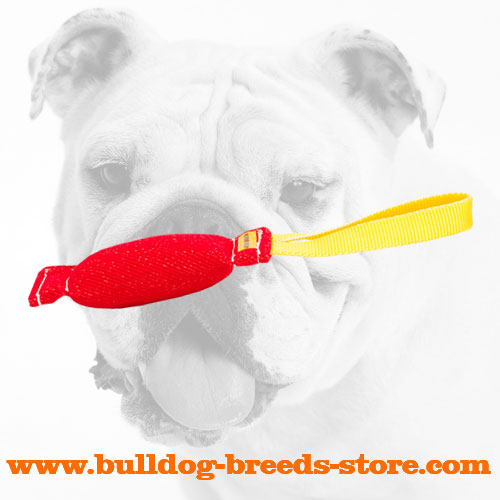 Lightweight Handled French Linen Bulldog Bite Tug