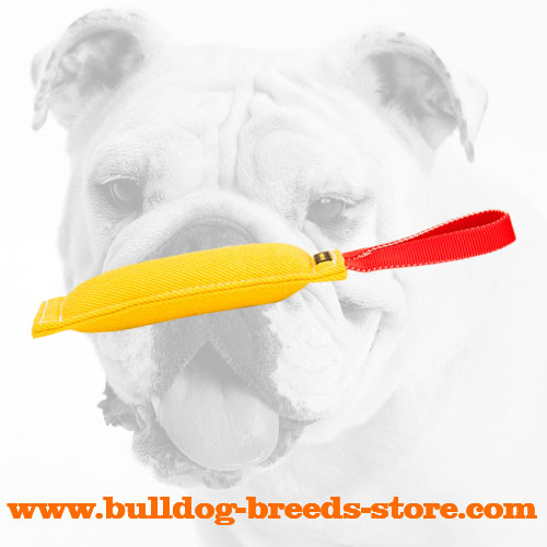 Retrieve French Linen Bulldog Bite Tug with Handle