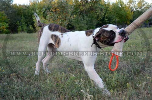 Extra Durable Jute Dog Bite Tug for American Bulldogs