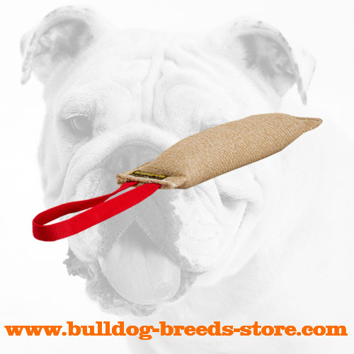 Jute Bulldog Bite Tug for Bite Training