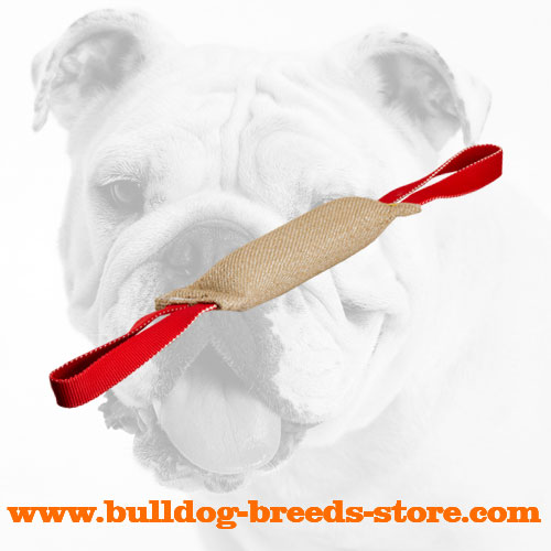 Safe and Hand-Stitched Jute Bulldog Bite Tug