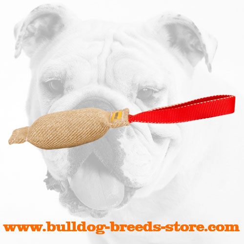 Training Jute Bulldog Bite Tug for Puppies