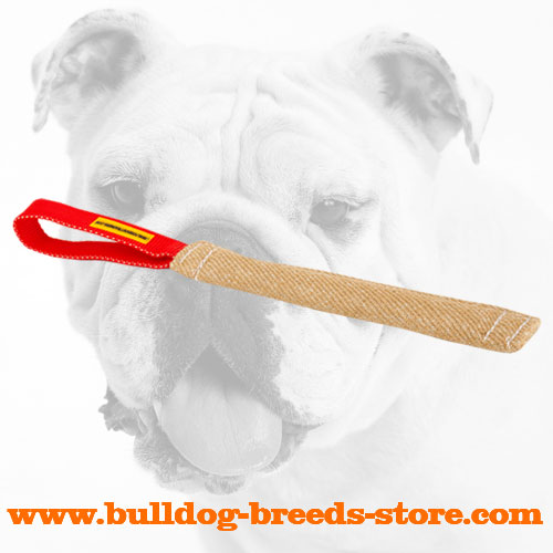 Jute Bulldog Bite Tug for Puppy Training