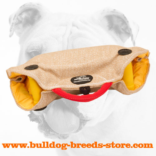 Soft and Safe Jute Bulldog Bite Builder for Puppies