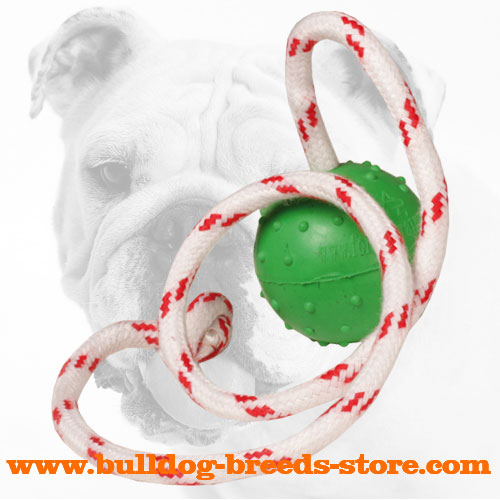 Strong Rubber Water Ball for Bulldog