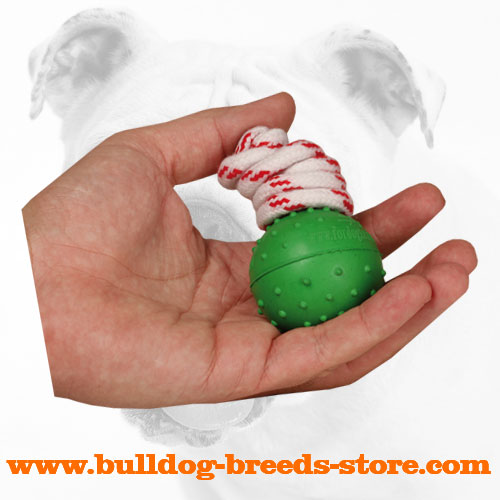 Bulldog Rubber Water Ball