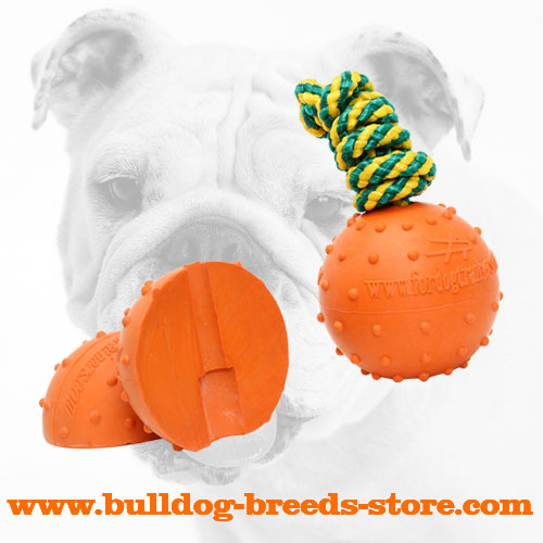 Colorful Bulldog solid Rubber Water Ball