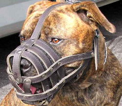 leather-dog-muzzle-for-pitbull