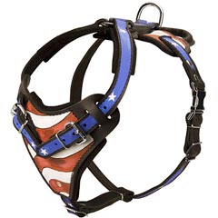 Hand painted American Pride Leather Bulldog Harness