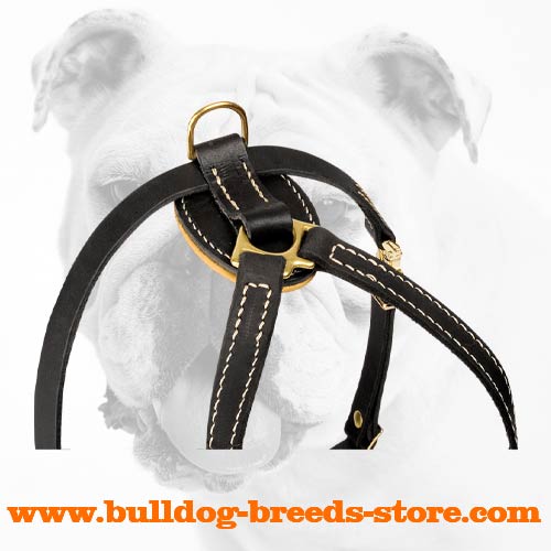 Leather Dog Harness for Bulldog Puppies Training