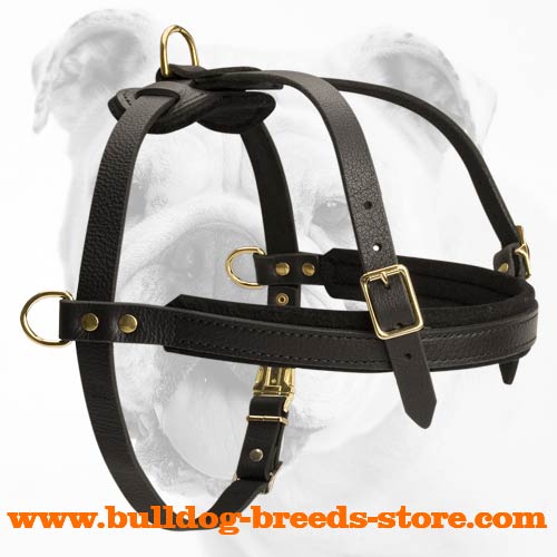 Adjustable Pulling Leather Dog Harness for Bulldog