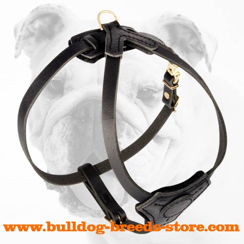 Lightweight Leather Bulldog Puppy Harness