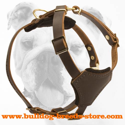 Genuine Leather Bulldog Puppy Harness