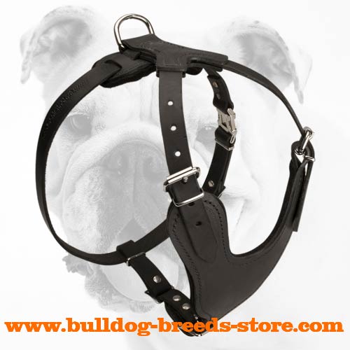 Reliable Training Leather Bulldog Harness